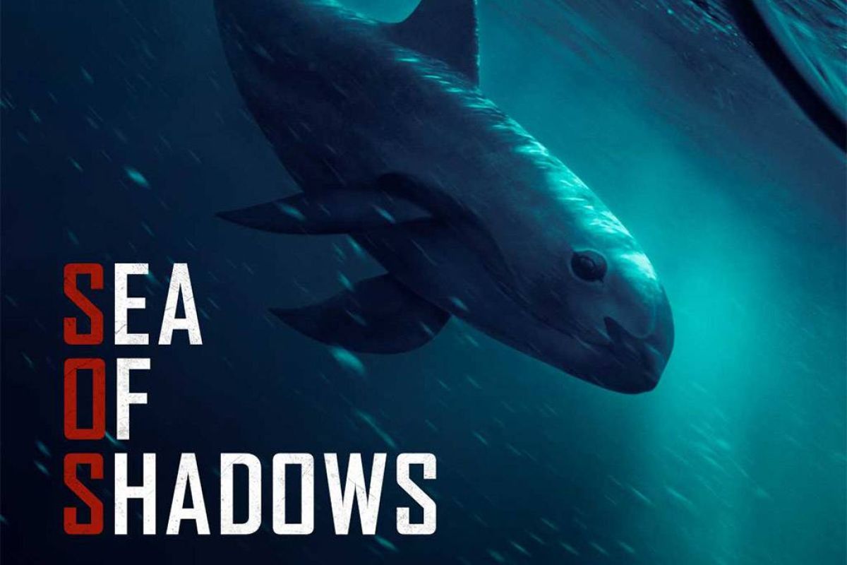 18426350aa48039695e251596f3e1109 XL 3fbf1811