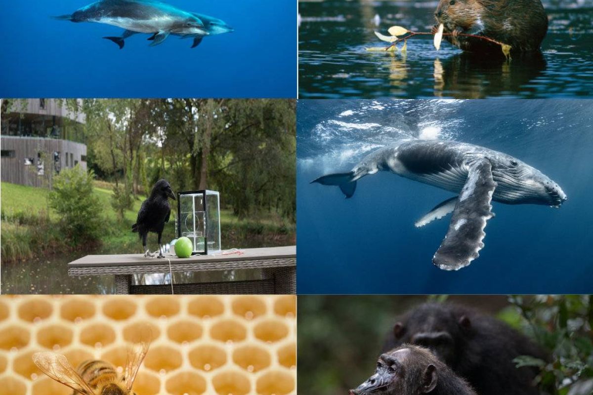 4d23e4805f0d3c3d71c48f5d6453ce6d XL 3fc4d9f2