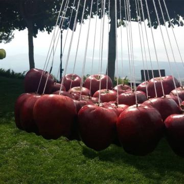 Στον κόσμο του μήλου η εκπομπή «Άγροweek» της ΕΡΤ3