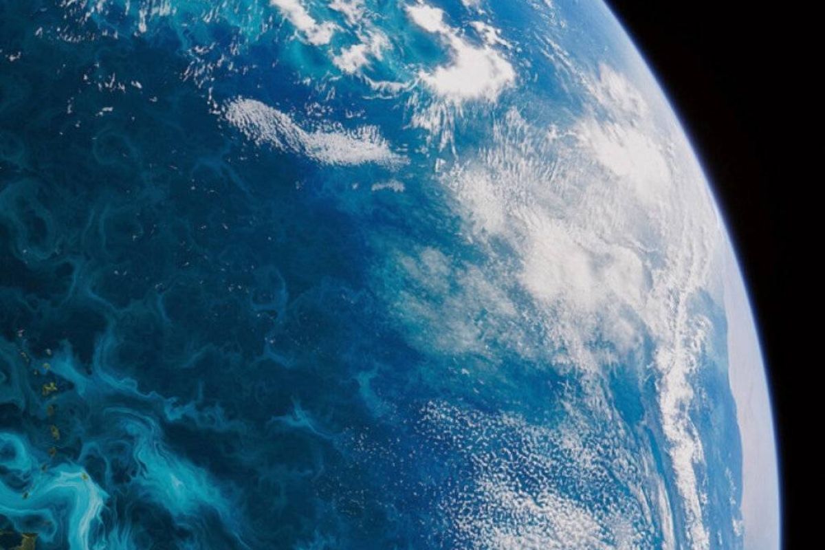 c162923d296402e4c544d7049fce55e8 XL 3f3e89eb