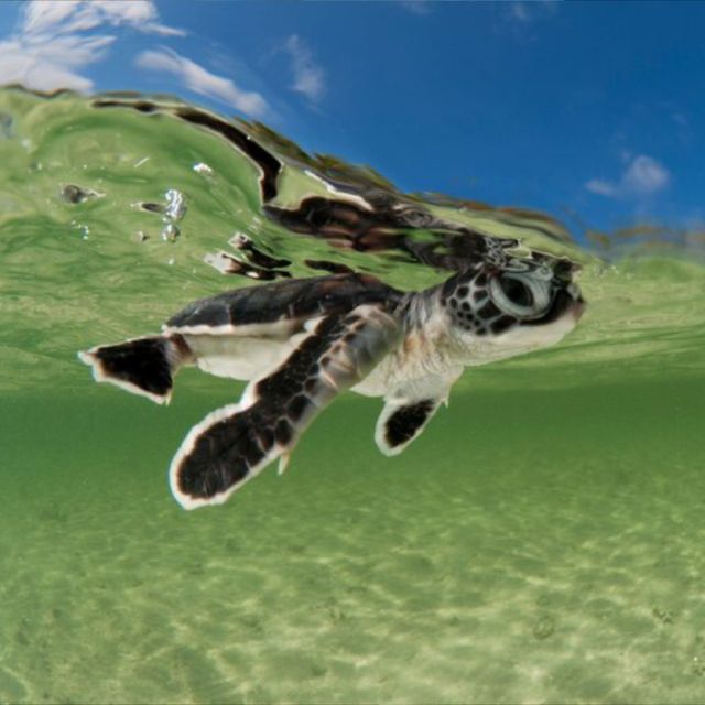 ΑΠΡΙΛΙΟΣ ΣΤΟ VIASAT NATURE