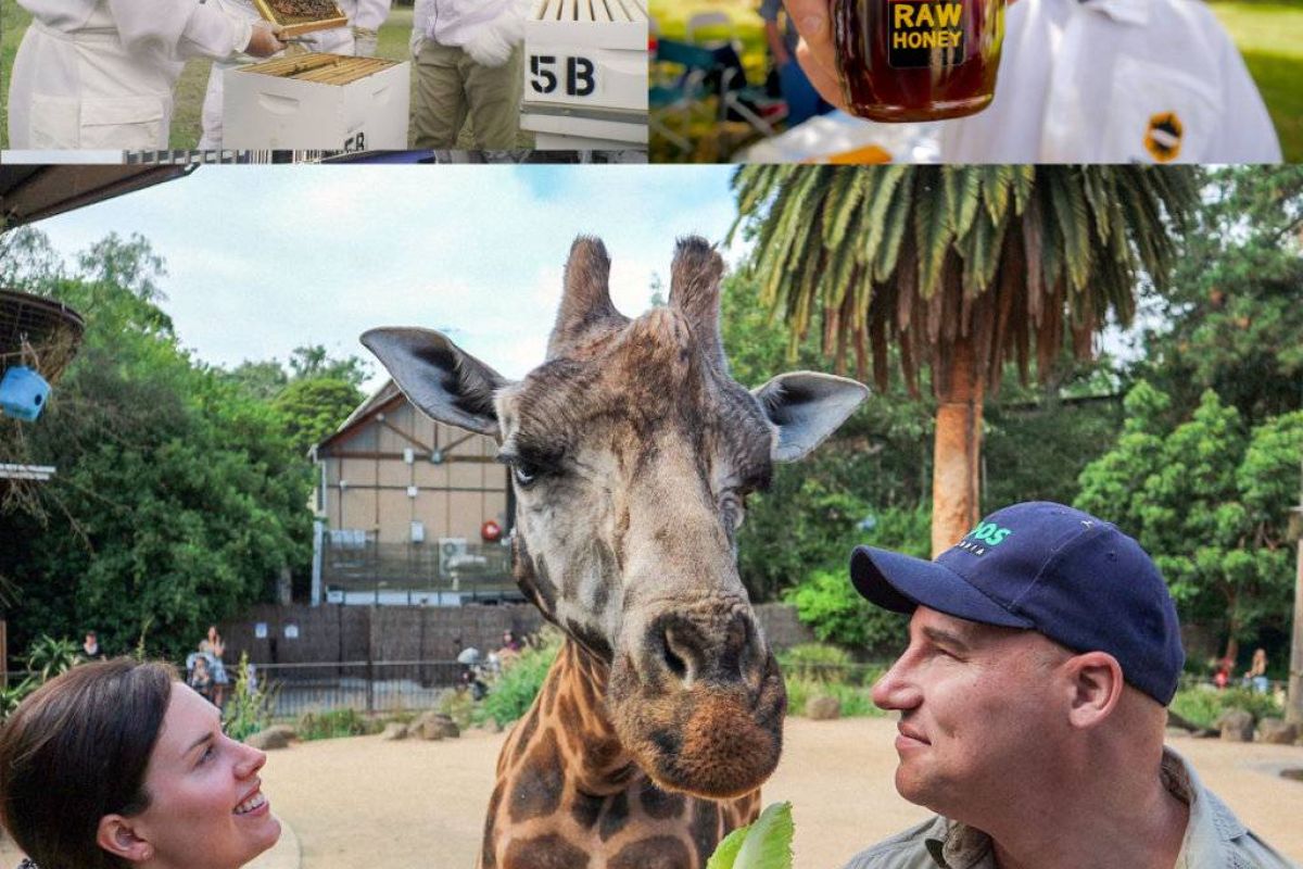 8d30cb1e4305ef50e4cdf624cd00491c XL 408d91e1