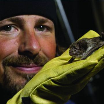 Νυχτερίδες "βαμπίρ" απόψε στο National Geographic Wild