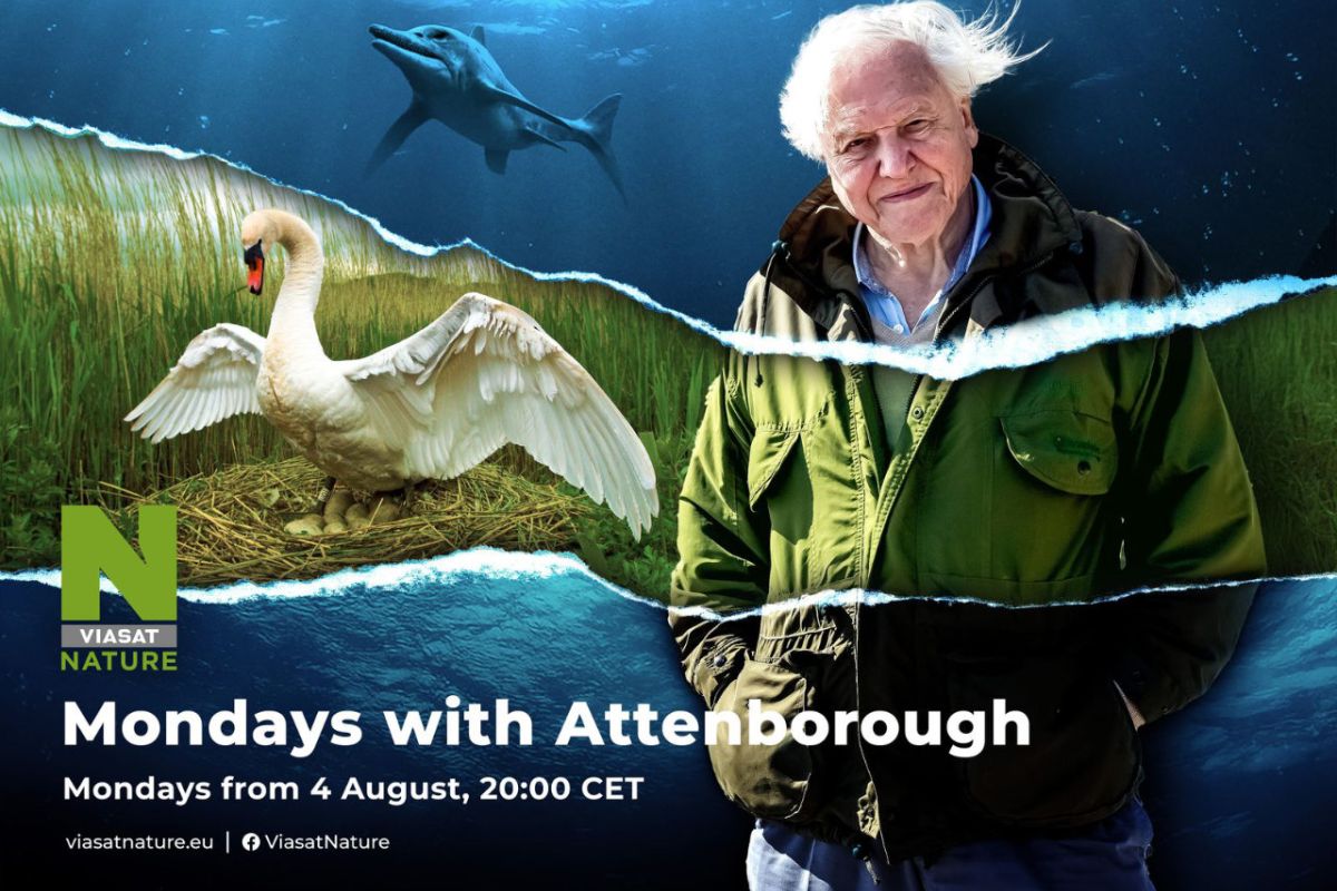 1280 square 139 427b4a19