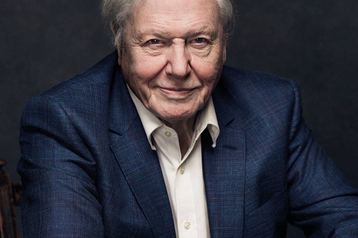 c830f95ca5edd0b59ea3df8d4952e37c XL 42c08fb7