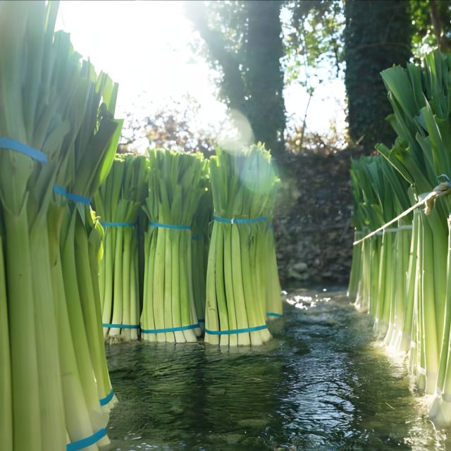 «Από το Χωράφι στο Ράφι»: Πράσο
