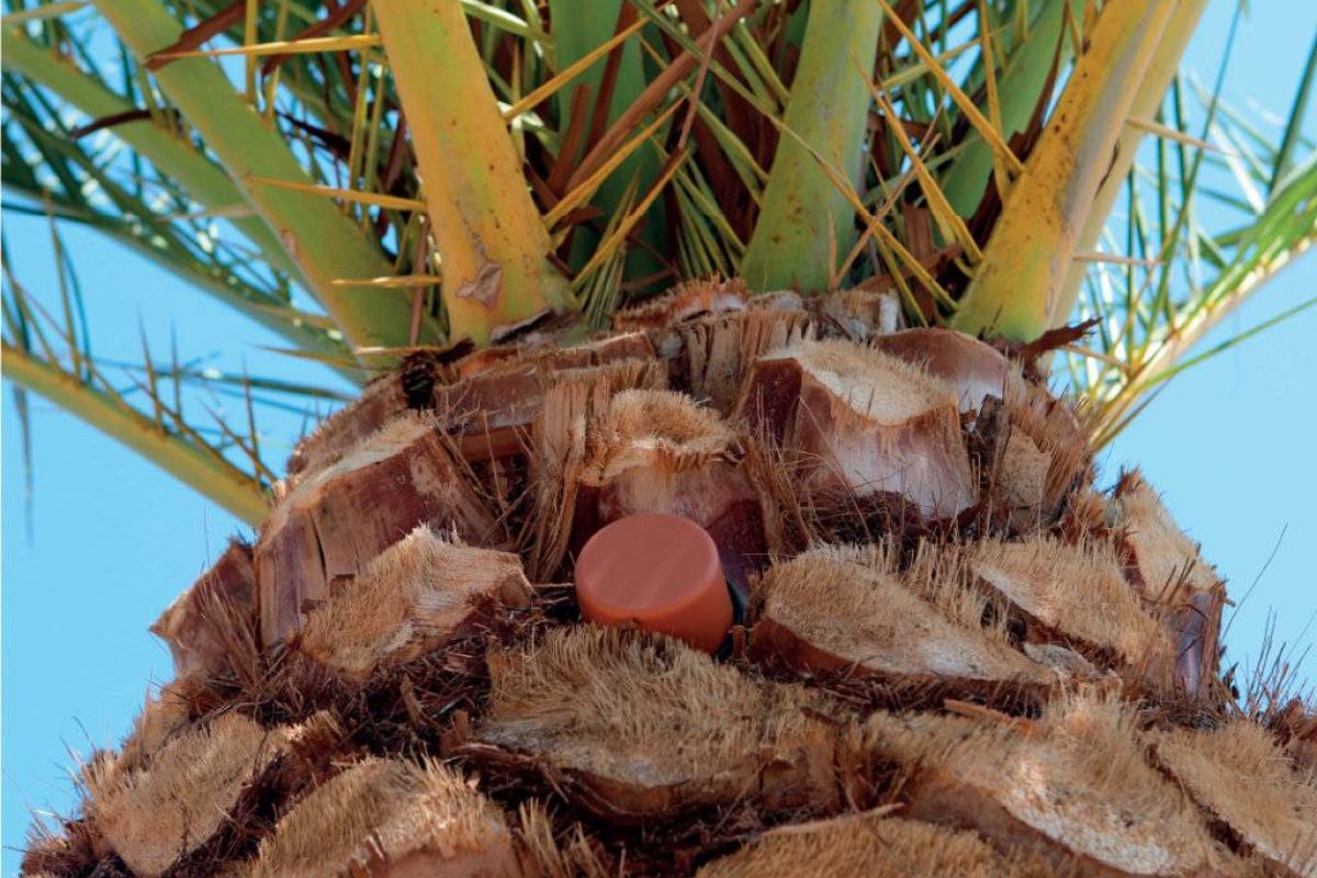 1f1bbe8cc1abb84082f48871fc21e94d XL 430455cc