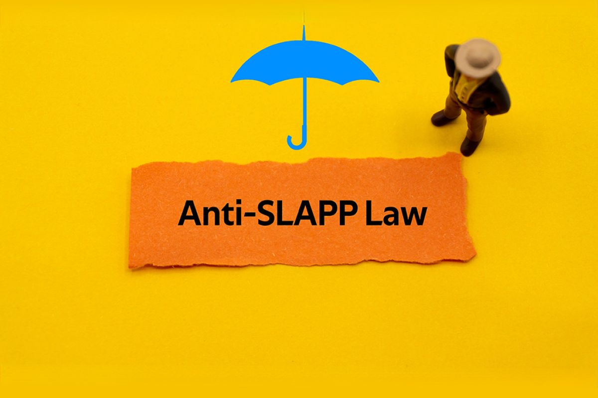 anti slapp 439fb6a7