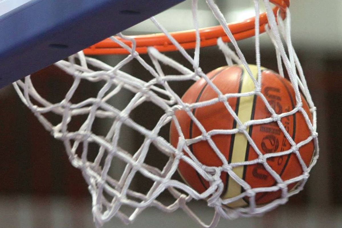 dab50e22ecb304358a21b848c35fc453 XL 43d16d1f