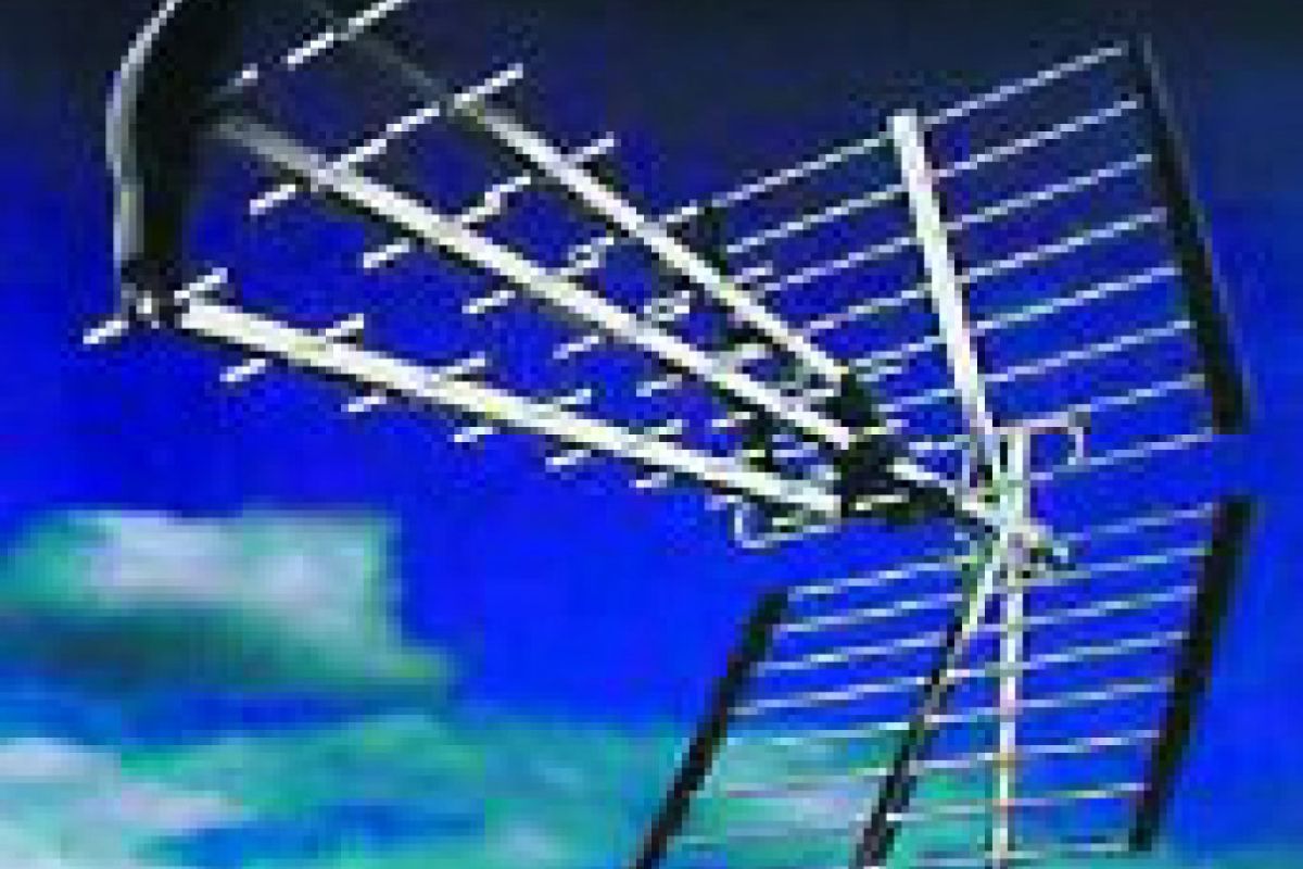 5e3c059ff1202312be4c4f00307a848a XL 44dcedcc