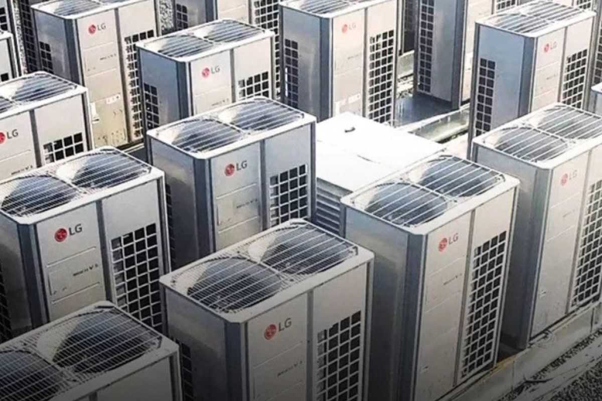 81fd320c9c0df2a9d69a2e8d462d88d1 XL 44ea40f9