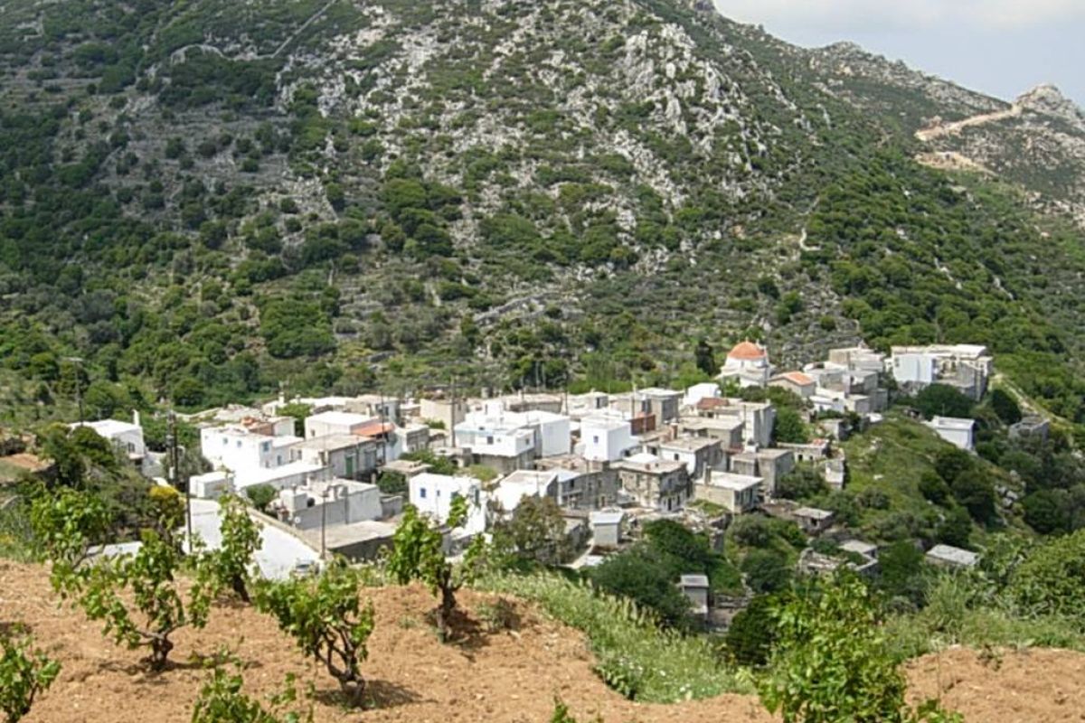 e2ad1b1273e972a290a2a485c5267ae6 XL 44f03313