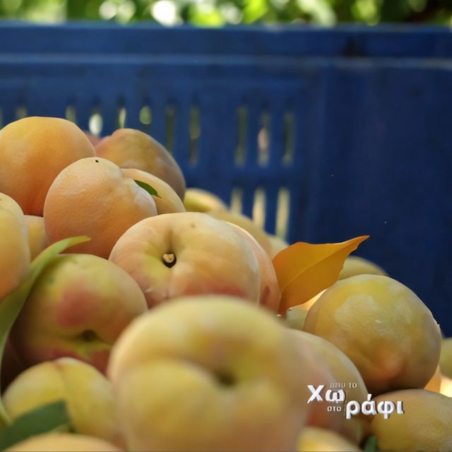 «Από το Χωράφι στο Ράφι»: Ροδάκινο