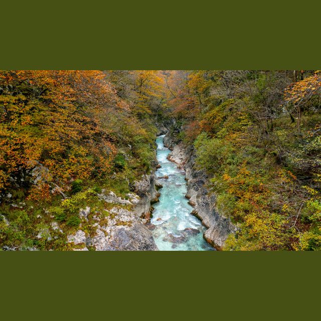 VIASAT NATURE CEE, Ιούνιος 2024 κορυφαίες στιγμές