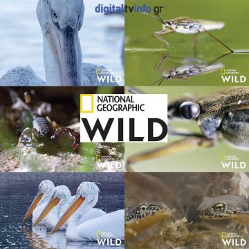 Nat Geo Wild : «Κρυμμένα Θαύματα της Ευρώπης» ένα επεισόδιο αφιερωμένο στη φυσική ομορφιά της Ελλάδας~