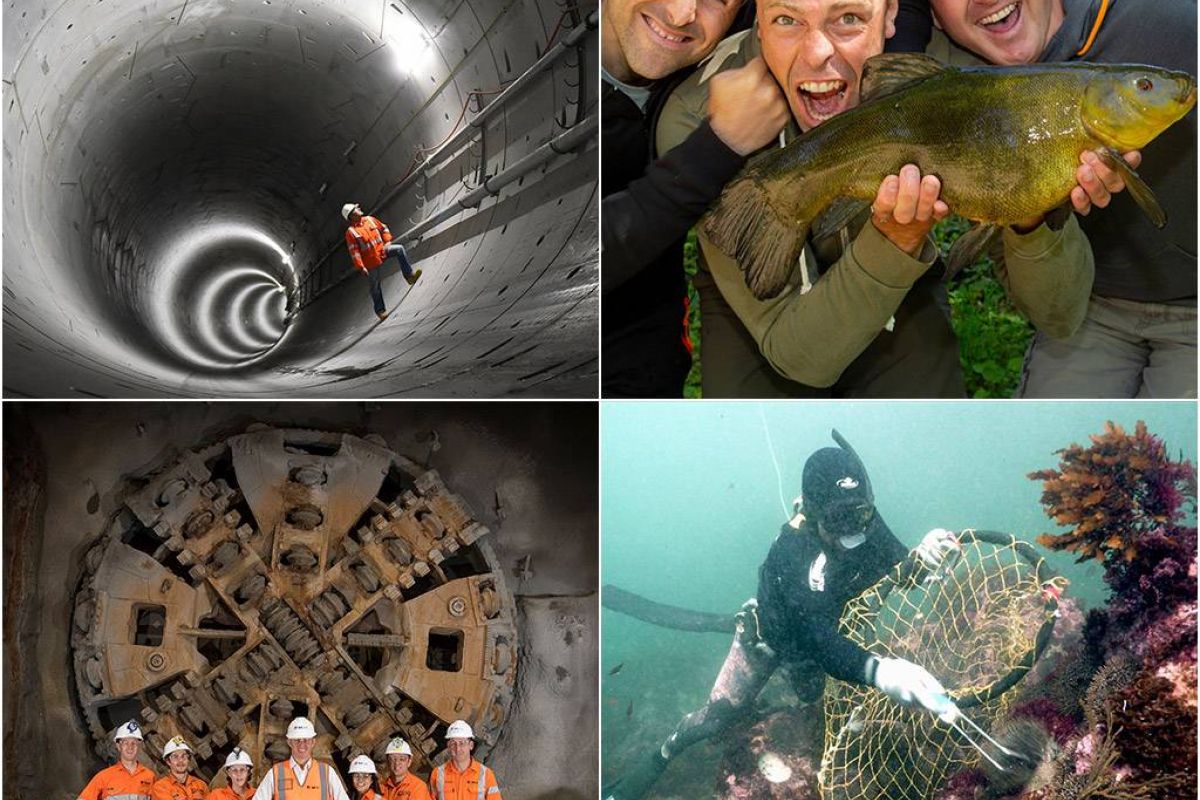 54cc621263b518082589b010849110ff XL 476bef7a