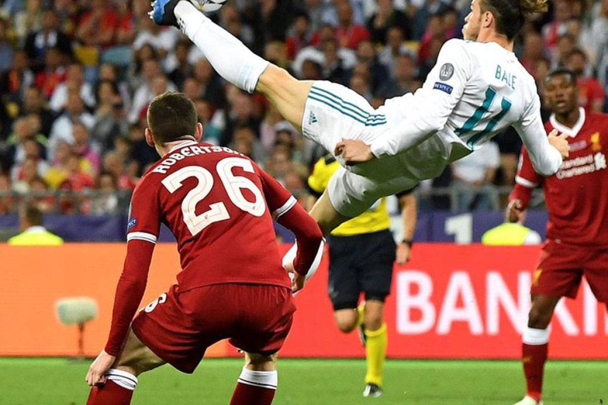 376df866490d34adfd7c6f0ab167e409 XL 48740200