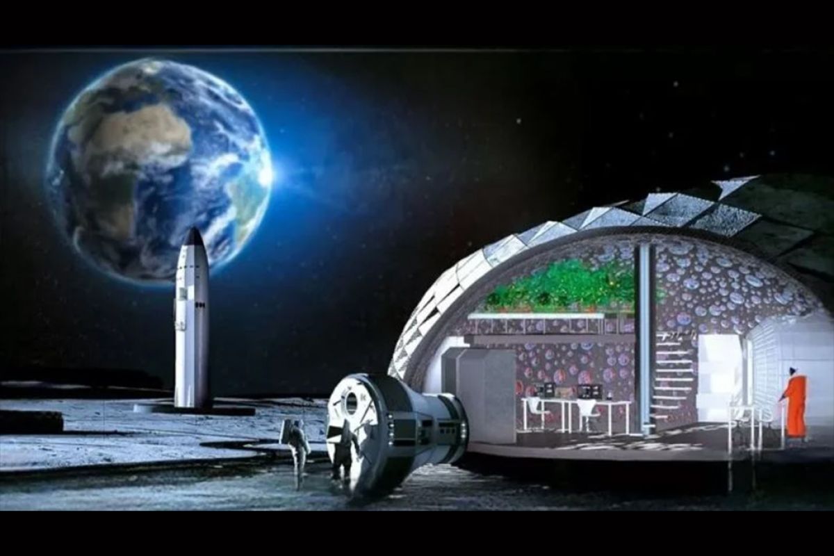 Untitled 1 Recovered 11 48c0e215