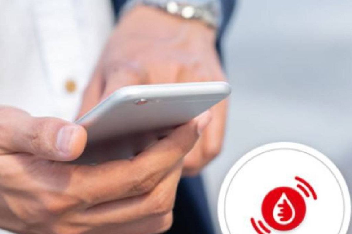 a64cd411e2ea04ef176fb8e8f72c49d1 XL 48cd3fee