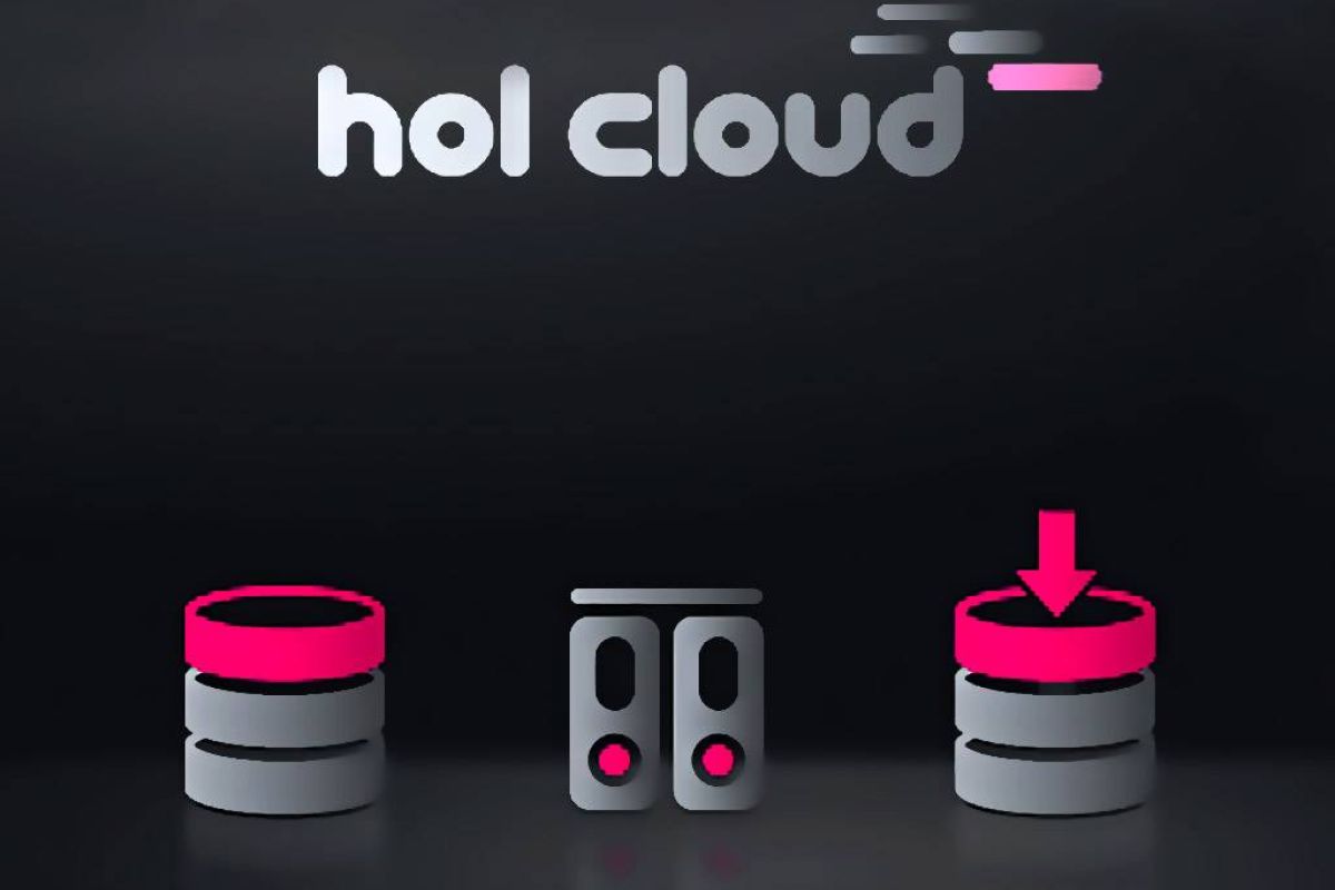 033bcd3b8cb0e16e752f5af3f8860897 XL 49cca032