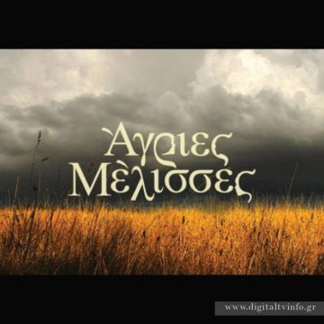 Άγριες Μέλισσες : σκιές πίσω από τον θρίαμβο