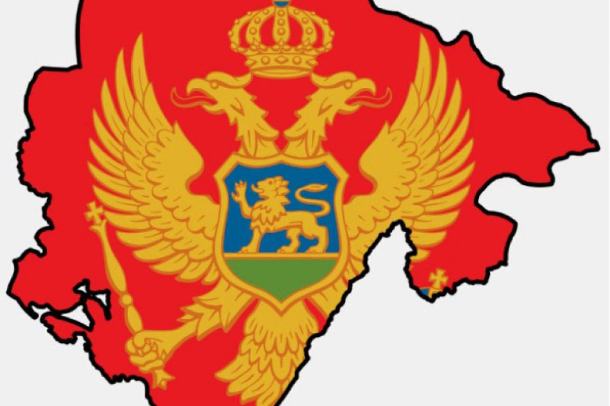 d91d2793afc1e2281971343ae9f4138f XL 491ba660