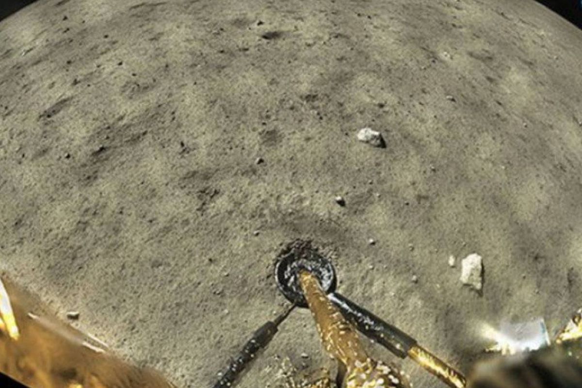 1bb68c6ba575e9b98aecafd271cb9bf6 XL 4bc2bc8d