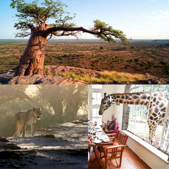 Οι κορυφαίες στιγμές του Viasat Nature CEE τον Μάιο