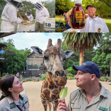 Ioύλιος στο Viasat Nature: Το καλοκαίρι των κτηνιάτρων είναι προ των πυλών