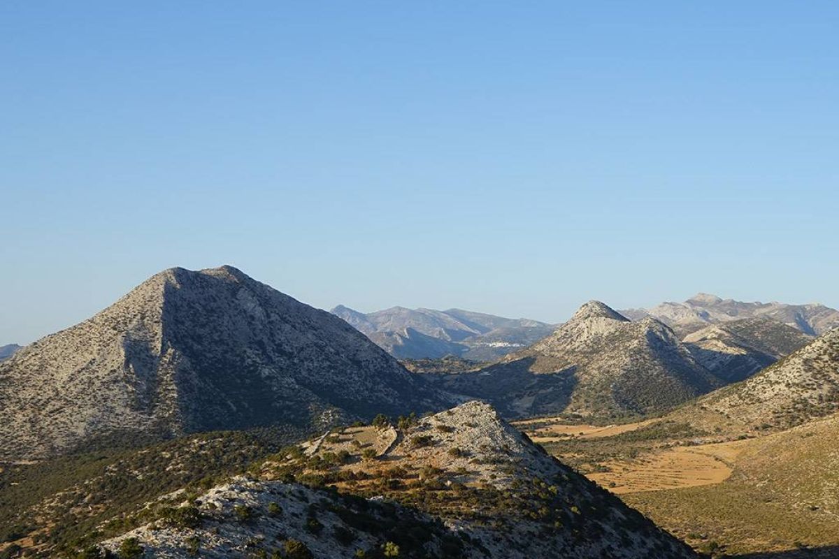 e91126153b8d3882d0f01dce40f7613a XL 4b122007