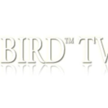 Hotbird TV Awards, οι δηλώσεις των νικητών