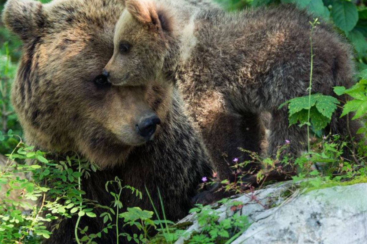 4c8aac440c413c21f757d507cf7cbe56 XL 4c533465