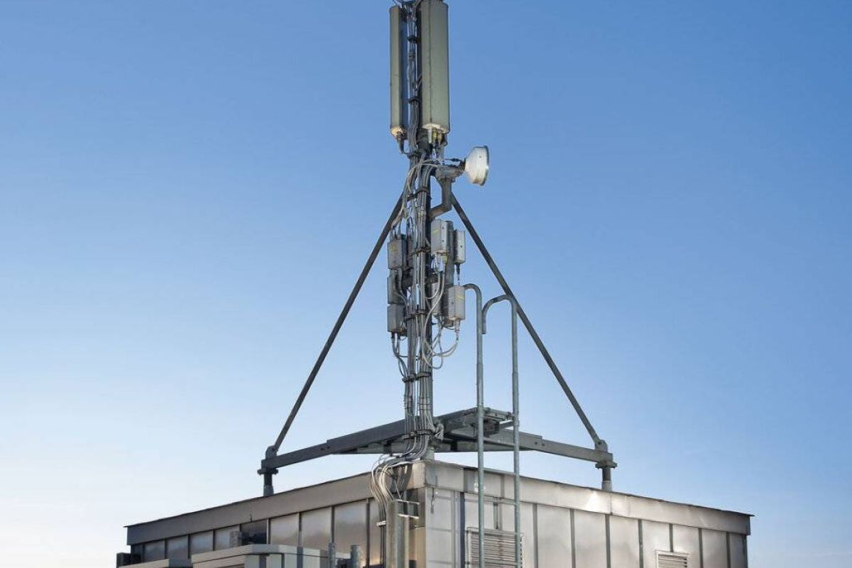 cfae6de3a2617c29f26a01929feebef3 XL 4c592054