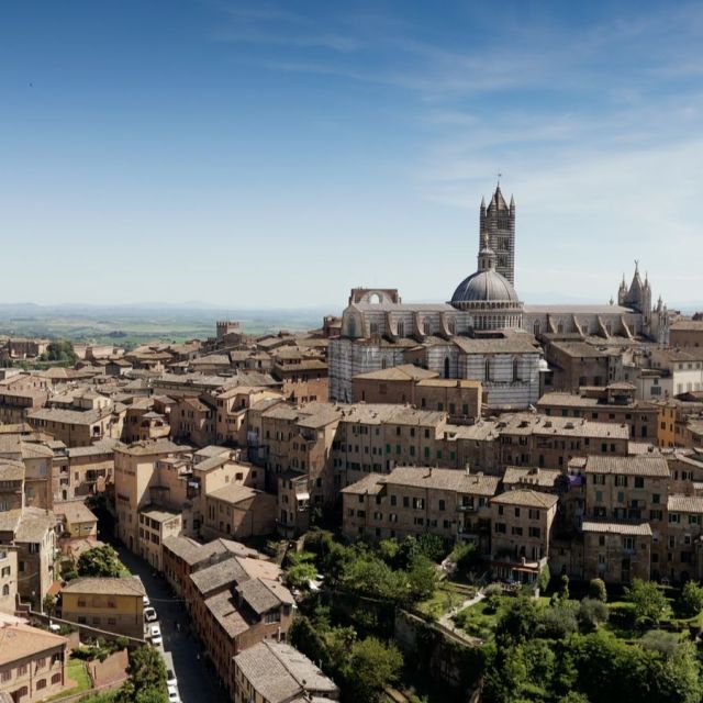 Μαύρος θάνατος: ο πρώτος καταγεγραμμένος ασθενής – στο Viasat History 