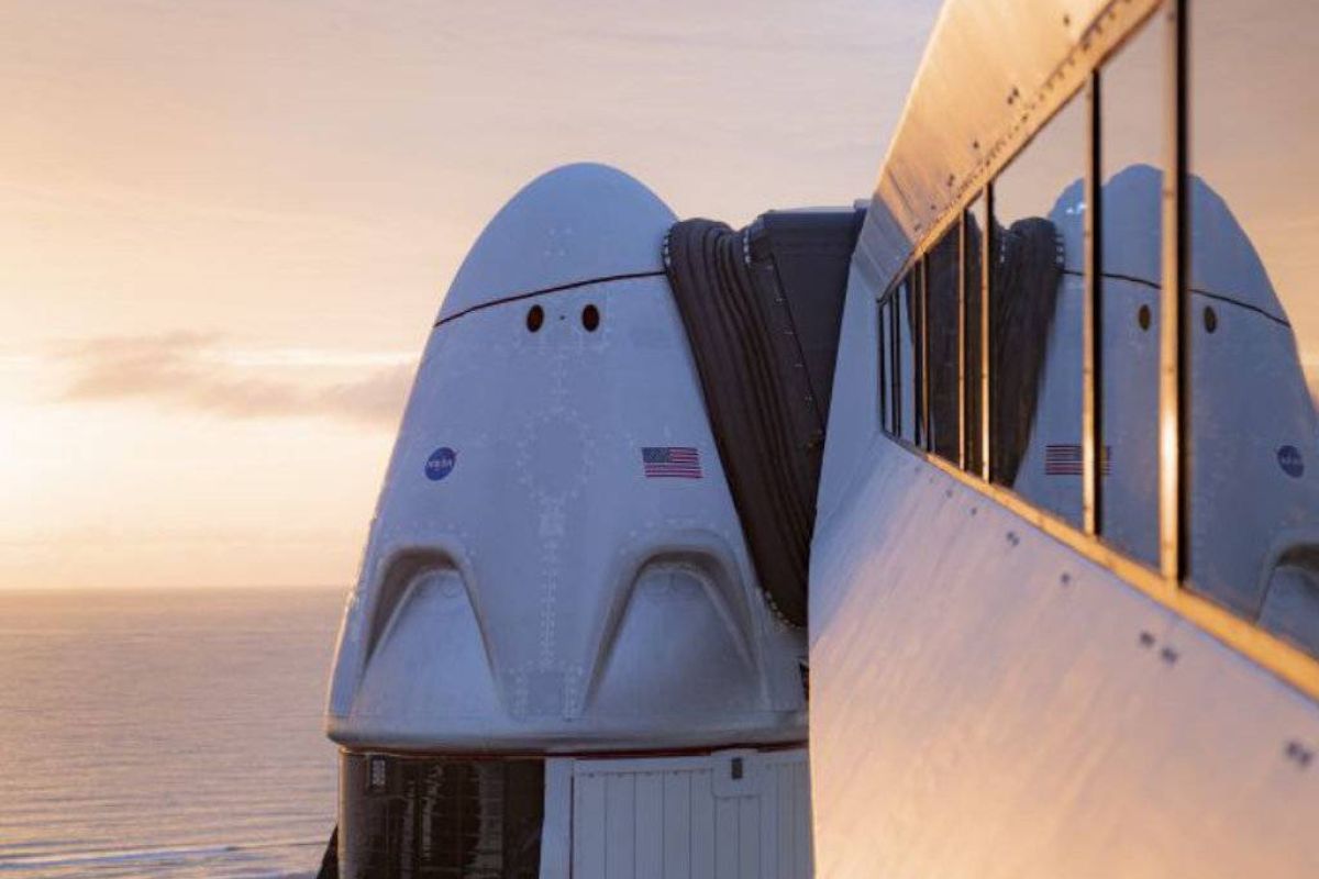 166544e86064b38a996d8a89976df9bb XL 4e58338a