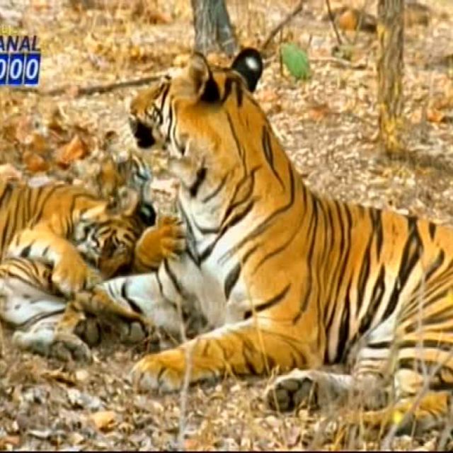 Anadolu Networks, νέα τουρκική πλατφόρμα στις 31,5 μοίρες ανατολικά