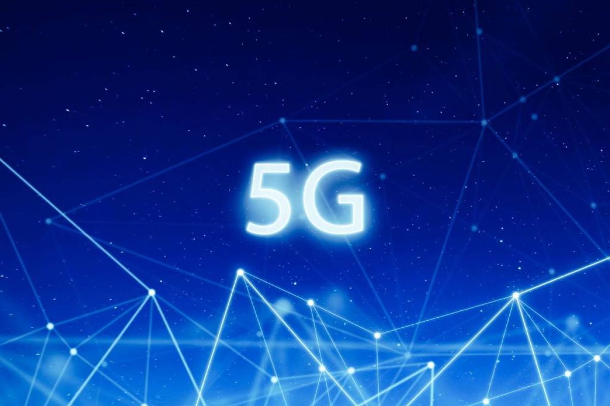 443ab5482a9f4c8a919ba9b915ced6d7 XL 4f12fc60