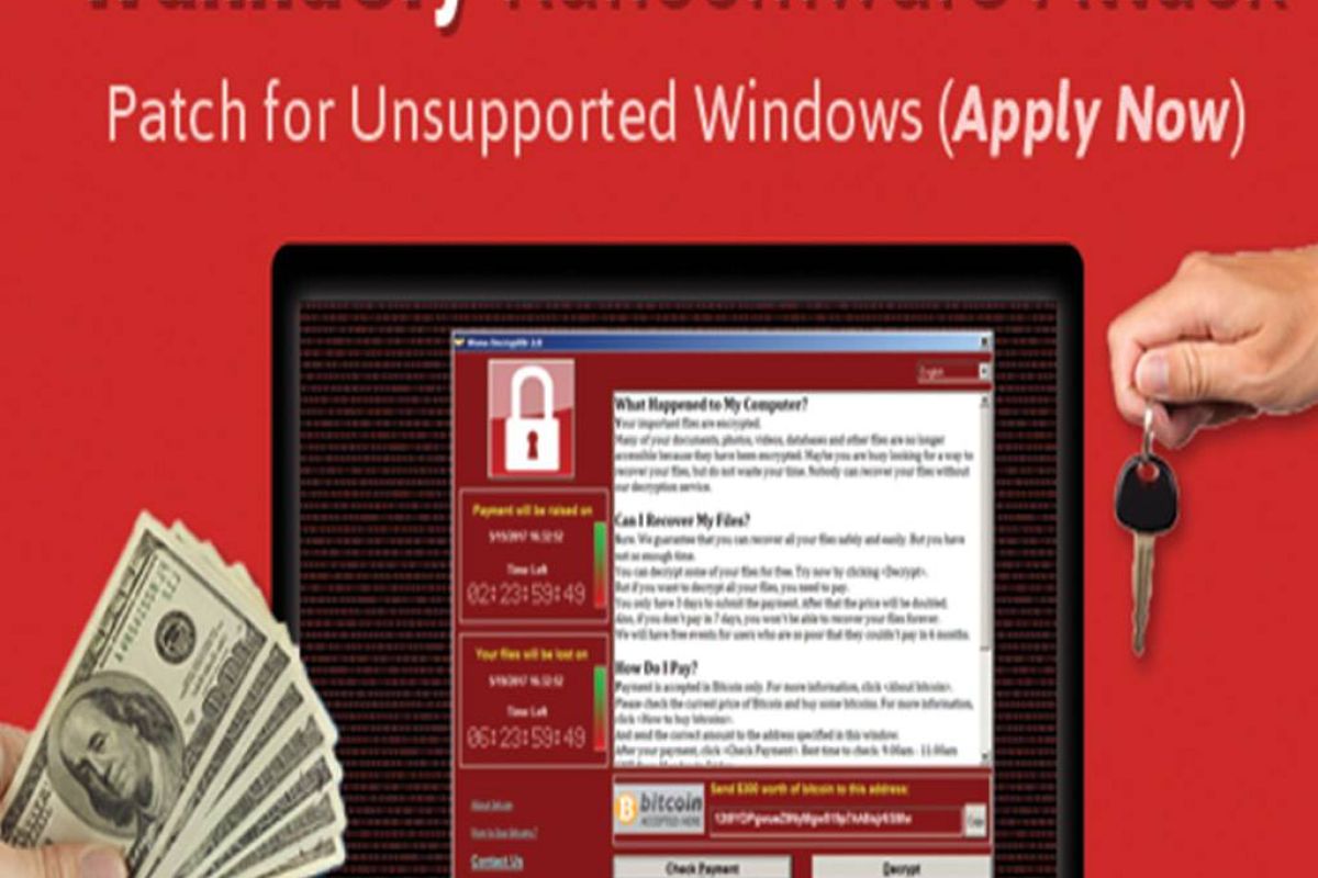 77231bb57c3f66384ff2526a03eb5fb7 XL 4f56ce09