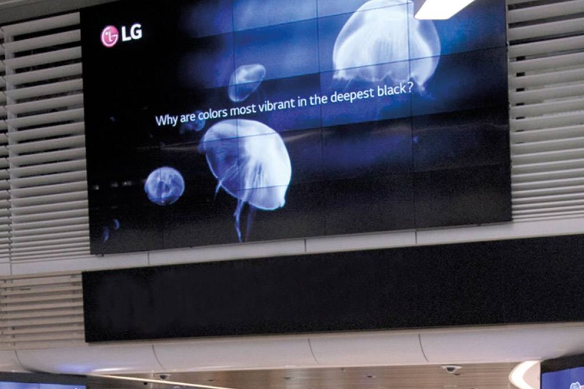 97aa27c47019bb1e3c128a2689eb5ed6 XL 4f6b183c