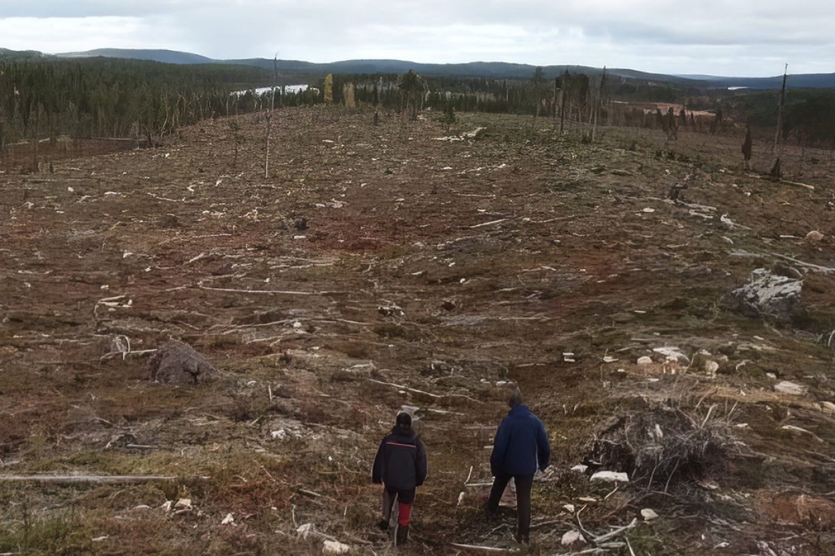 Untitled 1 106 4fc88889