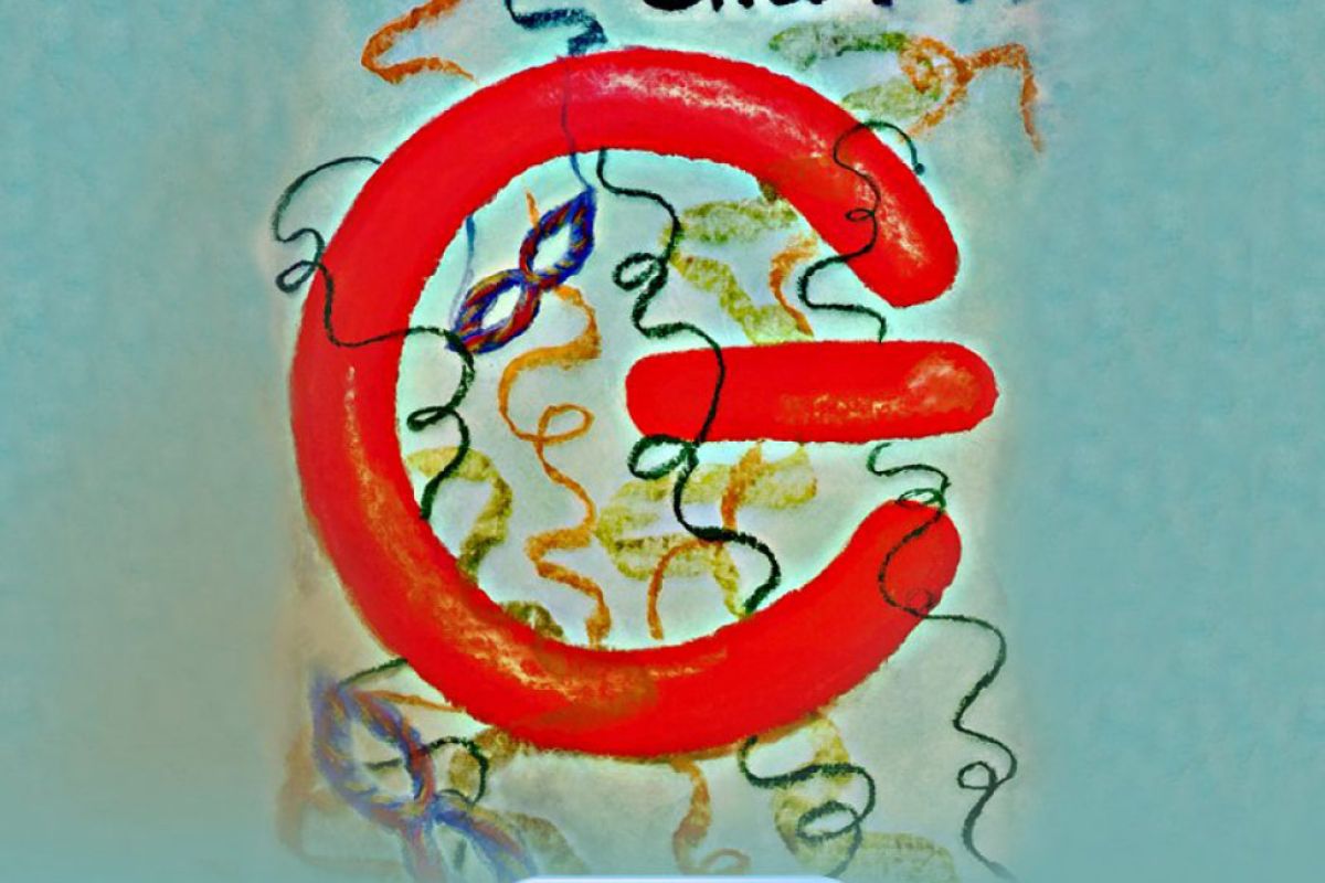 c54f493754865e543002422f23407174 XL 4fb3bbd3