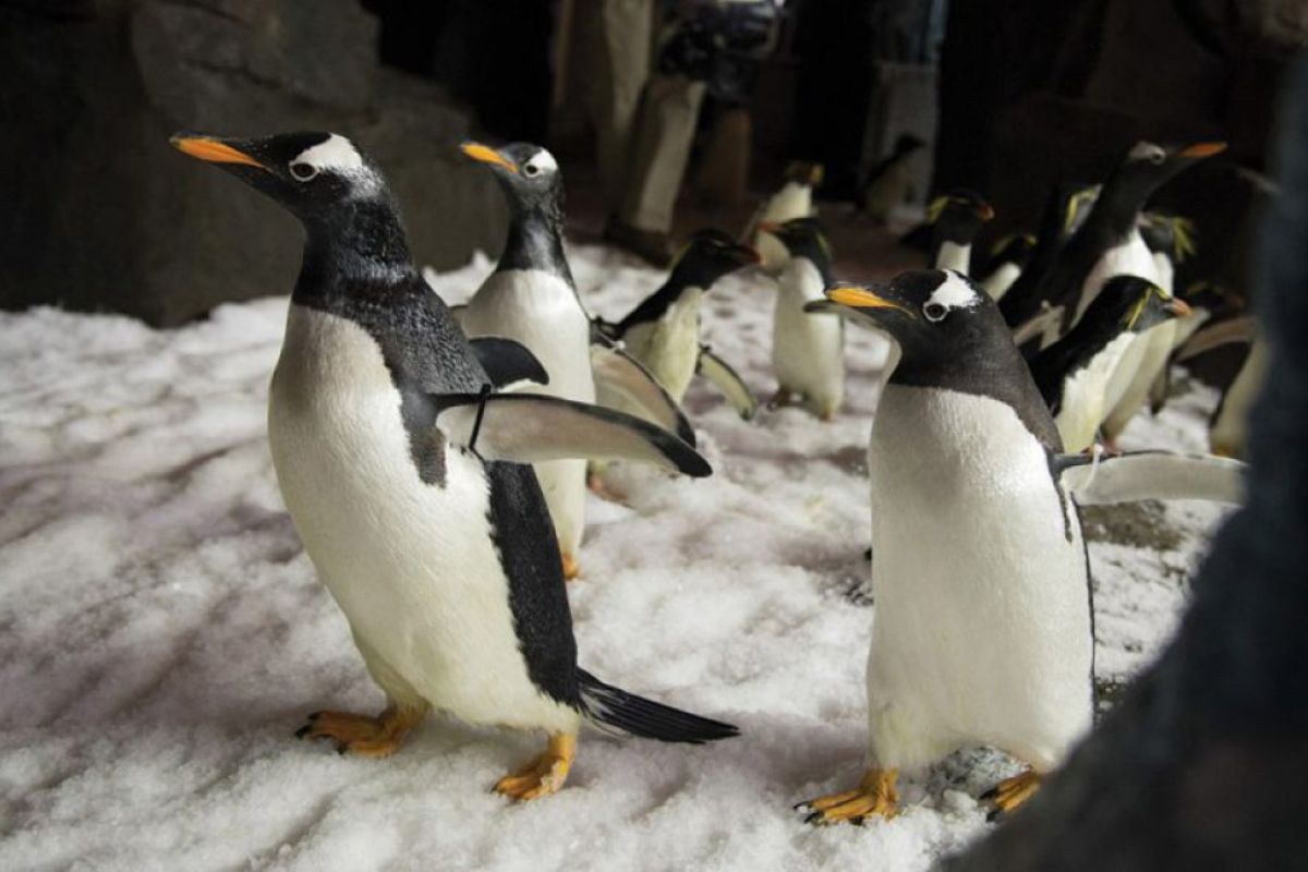 d29f667bdefc1151eaf6bb70b5dc2082 XL 4f5bcdfb