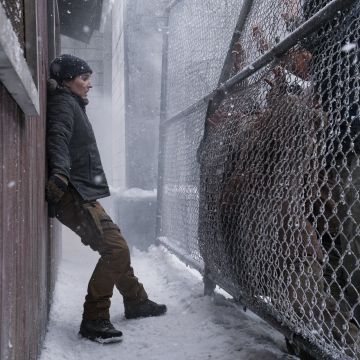 The Last of Us: Ο δεύτερος κύκλος που «σπάει τα ταμεία» παίζει αποκλειστικά στο Vodafone TV