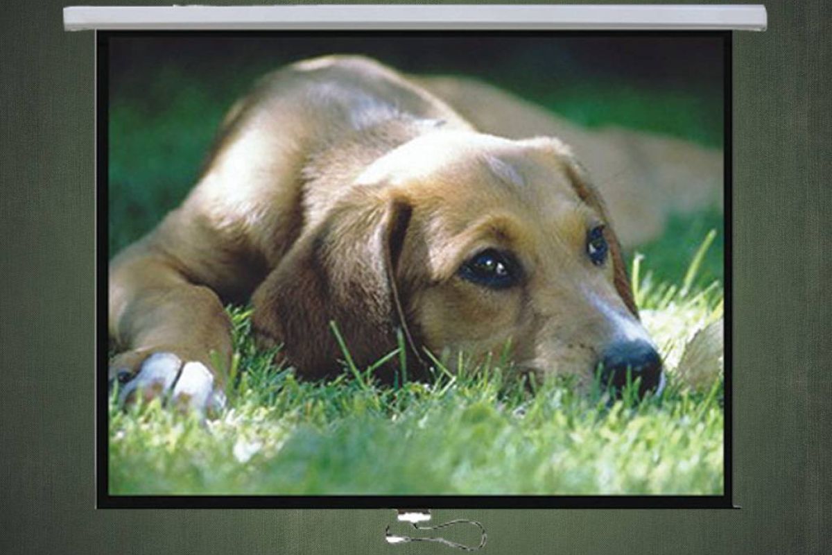 04aa20a8ac6c1bfd9ecaddc55a52e725 XL 50e2127c