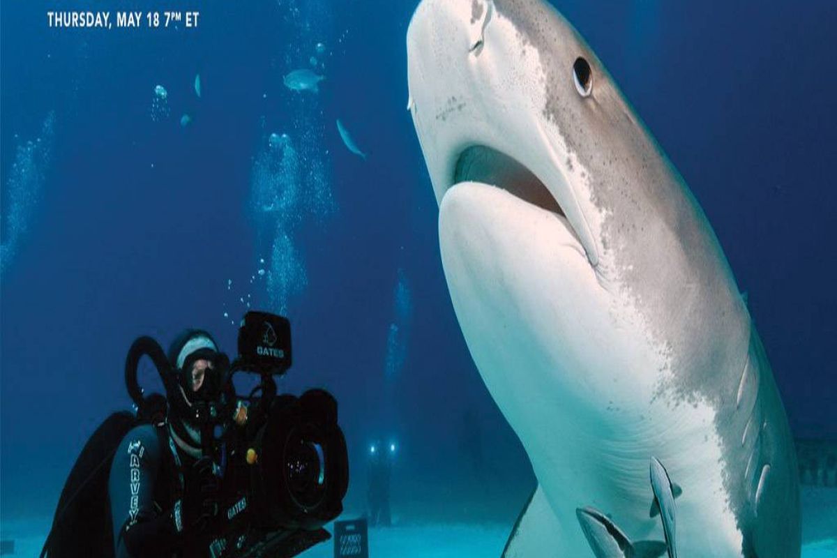 41329f61e4f286ca97a6d701ab2b7ee5 XL 50e948f1