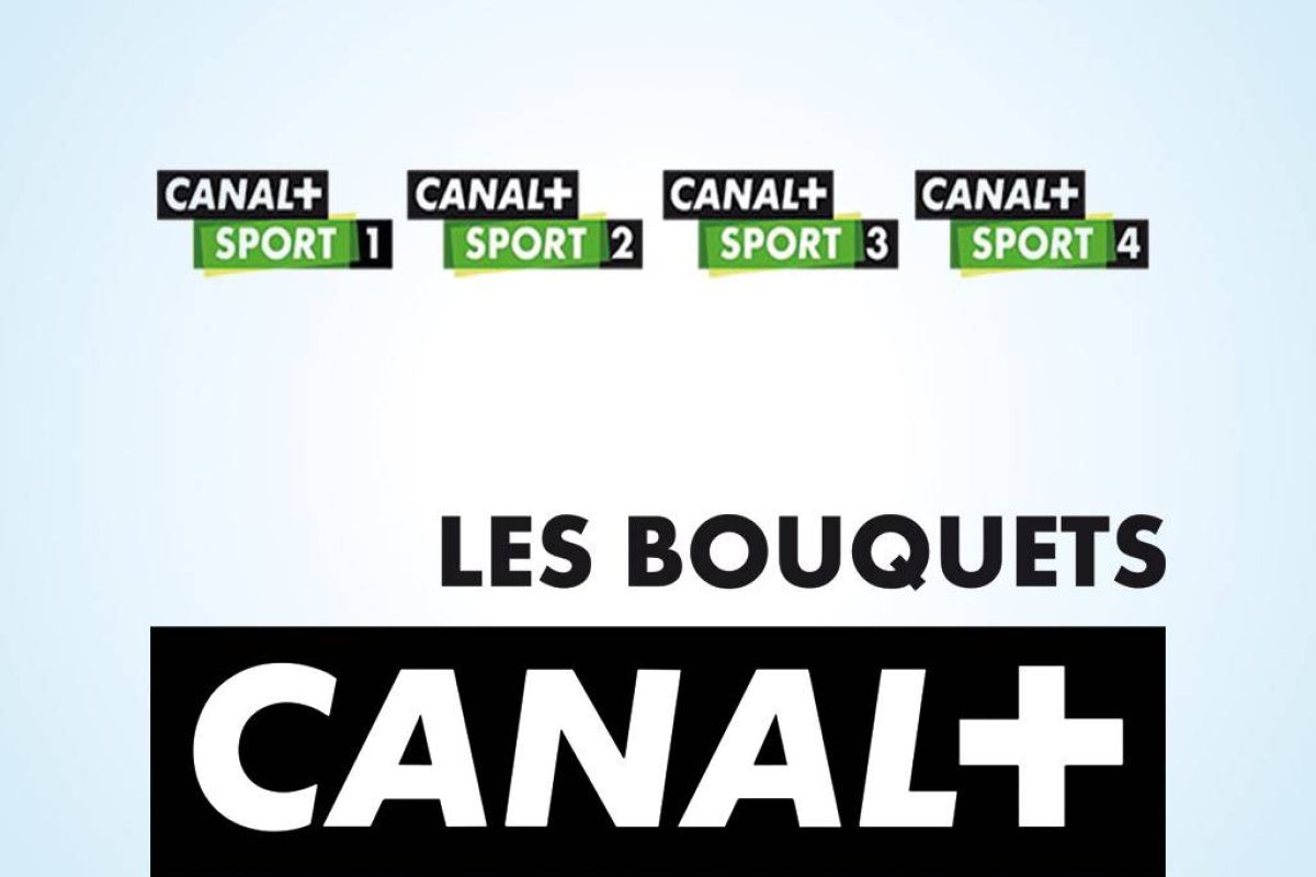 d3b918f972a5be71b1b552744a8a2211 XL 50d15416