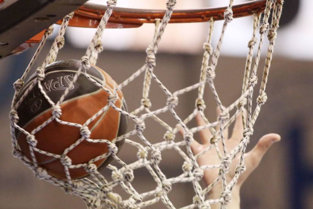 7c36ccaed4564eb8fcce5dce776a742c XL 518915d8