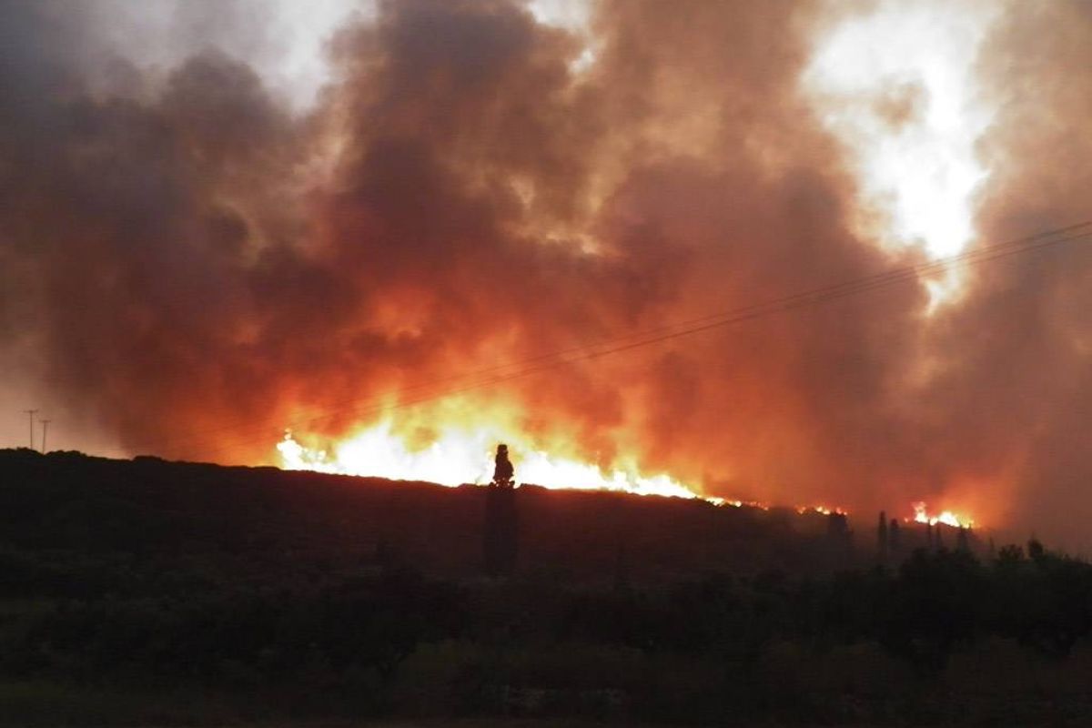 8be378ce76f5b30801dbed0ce44004f3 XL 51427331