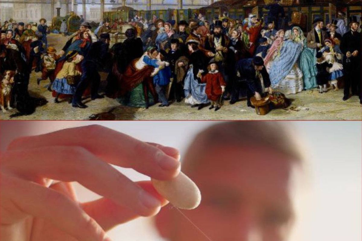 8fe338234a2a3c916781d55eb0390d49 XL 52f4a313