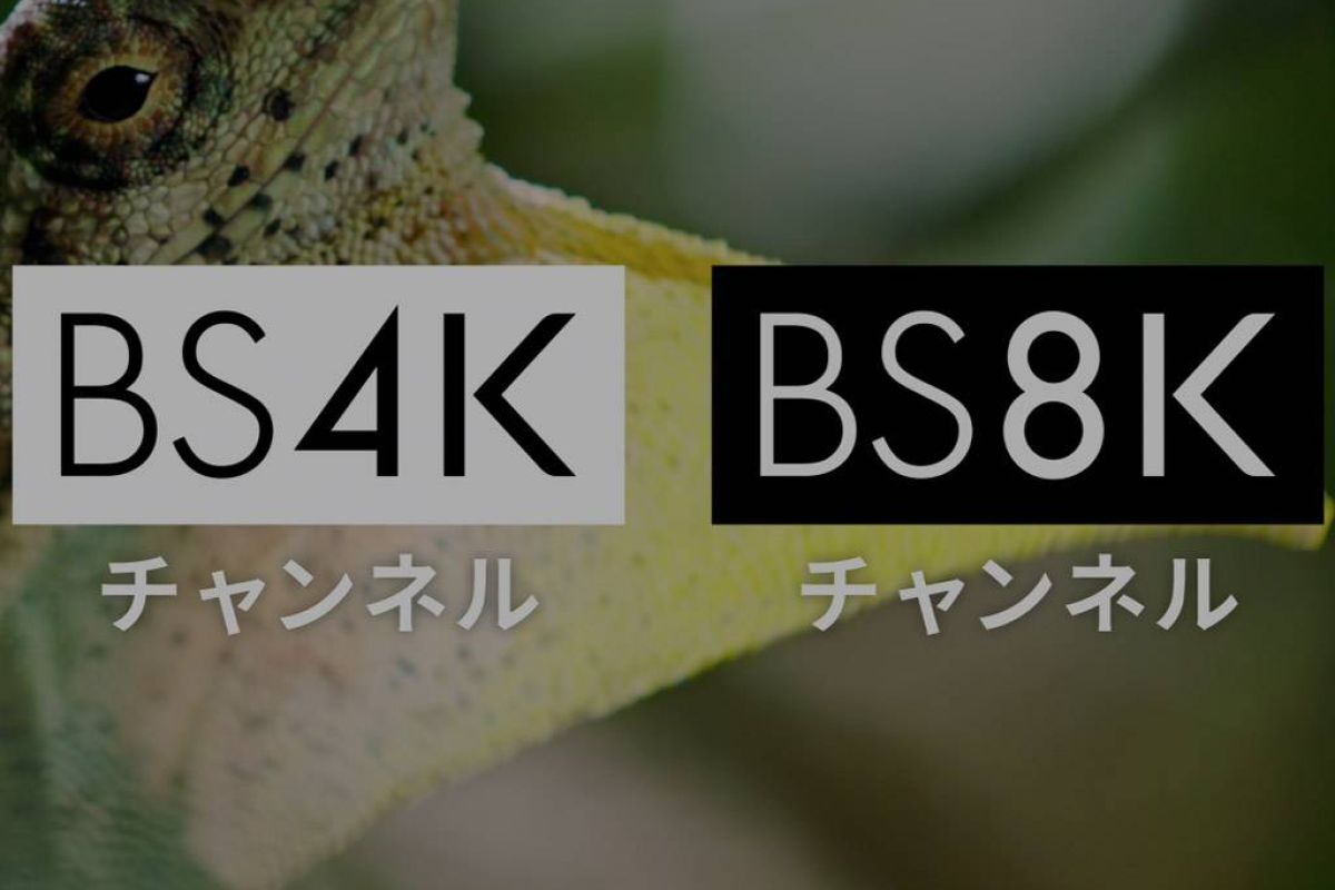 e74d7f48638ee0878f58f964ef60aac8 XL 521de195